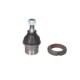 Articulatie sarcina ghidare Pivot axa Dreapta Stanga inferior fata filetat M14x1.5 pentru MERCEDES M W163 2.3-5.4 02.98-06.05