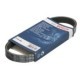 Curea transmisie cu caneluri BOSCH Multi-V-belt 5PK491 491.0 mm 5 nervuri AUDI A1 SEAT ALHAMBRA IBIZA IV SKODA FABIA II VW GOLF