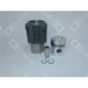 Set reparatii piston/bucsa cursa cilindru OE GERMANY pentru DEUTZ FAHR D F2L912 01.68