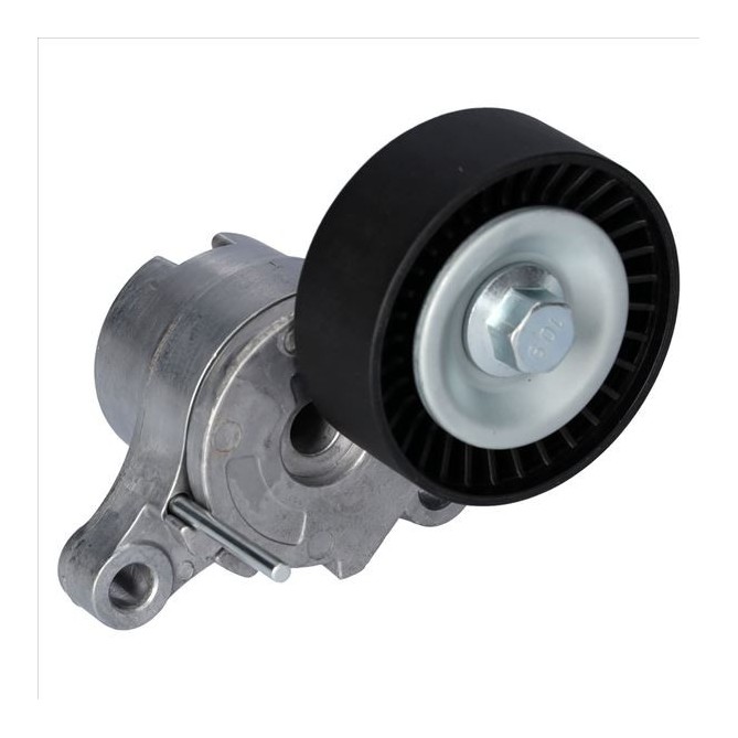 Intinzator,curea transmisie SWAG