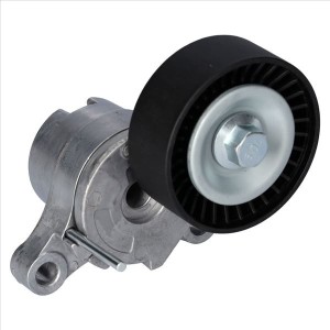 Intinzator,curea transmisie SWAG