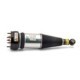 Brat arc pneumatic ARNOTT EUROPE Modul aer Spate Dreapta/Stanga JAGUAR XJ 2.7D-4.2 03.03-03.09