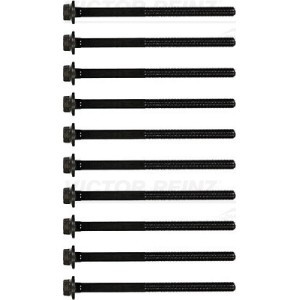 Set surub chiulasa REINZ