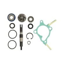 Set reparatie, pompa apa RMS