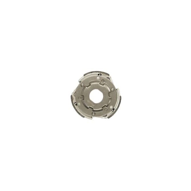 Ambreaj centrifugal RMS