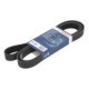 Curea transmisie cu caneluri BOSCH Multi-V-belt 7PK1905 1905 mm pentru FORD SCORPIO II TOYOTA CAMRY ISIS NOAH VOXY PREVIA III RAV 4 III