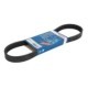 Curea transmisie cu caneluri BOSCH Multi-V-belt 6PK799 799.0 mm 6 nervuri pentru AUDI A1 A3 A4 ALLROAD B9 Q3 TT SEAT ARONA ATECA IBIZA V LEON SKODA KAMIQ KAROQ KODIAQ OCTAVIA III
