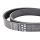 Curea transmisie cu caneluri BOSCH 1970 mm 7 nervuri