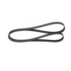 Curea transmisie cu caneluri BOSCH 1970 mm 7 nervuri