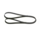 Curea transmisie cu caneluri BOSCH 1970 mm 7 nervuri