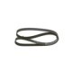 Curea transmisie cu caneluri BOSCH Multi-V-belt 6PK1195 1195.0 mm 6 nervuri