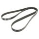 Curea transmisie cu caneluri BOSCH Multi-V-belt 7PK2035 2035.0 mm pentru MERCEDES C T-MODEL S203 S204 W203 W204 CLK A209 C209 CLS C219 E A207 C207 S211 S212 3.0D