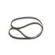 Curea de distributie BOSCH pentru HYUNDAI GALLOPER I, GALLOPER II, GRACE, H-1, H-1 STAREX, H-1 CARGO, H-1 TRAVEL, H100, PORTER, TERRACAN, KIA K2500, PREGIO 2.2D-2.8D 11.86, dimensiuni 25.0 mm x 1553.0 mm, 163 dinti, pas dantura 9.525 mm