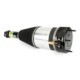 Brat arc pneumatic ARNOTT EUROPE Air module rear L BMW 5 (G31) 6 GRAN TURISMO (G32) 2.0-3.0H 03.17