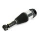 Brat arc pneumatic ARNOTT EUROPE Air module rear L BMW 5 (G31) 6 GRAN TURISMO (G32) 2.0-3.0H 03.17