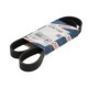 Curea transmisie cu caneluri BOSCH Multi-V-belt 6PK1105 pentru ALFA ROMEO 156, FIAT MAREA, ULYSSE, LANCIA KAPPA, ZETA, NISSAN QASHQAI I