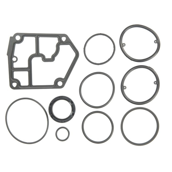 Set garnituri, carter PAYEN