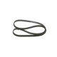Curea transmisie cu caneluri BOSCH Multi-V-belt 6PK1264 Lungime 1264 mm 6 nervuri