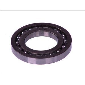 Elementul pompei de combustibil BOSCH