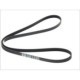 Curea transmisie cu caneluri BOSCH Multi-V-belt 5PK1545 1545 mm pentru ALFA ROMEO 159 FIAT CROMA STILO OPEL ASTRA G H CORSA D E MERIVA A