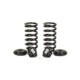 Set arcuri suspensie ARNOTT EUROPE pentru MERCEDES E T-MODEL (S211) 350 CGI, E 200 CDI, E 200 Kompressor, E 220 CDI, spate