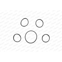 Set garnituri, galerie admisie PAYEN