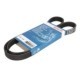 Curea transmisie cu caneluri BOSCH 5PK1100 1100 mm pentru RENAULT, Lancia, Alfa Romeo, Honda, Toyota, FIAT