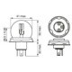 Bec far faza lunga R2 12V 45/40W P45T Pure Light pentru RENAULT TRUCKS