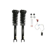 Set suspensie, arcuri elicoidale / amortizoare ARNOTT EUROPE