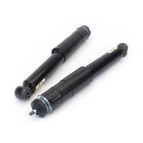 Set suspensie, arcuri elicoidale / amortizoare ARNOTT EUROPE