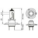 Bec far principal BOSCH H7 12V 55W PX26D Gigalight Plus 150% 3450K pentru DS 3 4 5 7 9 IVECO DAILY III IV V VI MAN TGE