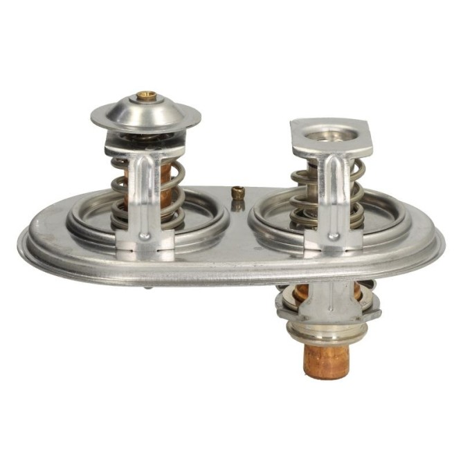 Termostat,lichid racire NRF