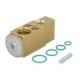 Supapa expansiune clima NRF pentru OPEL ADAM, CORSA E, CORSA E/HATCHBACK 1.0-1.6 10.12 cu garnituri