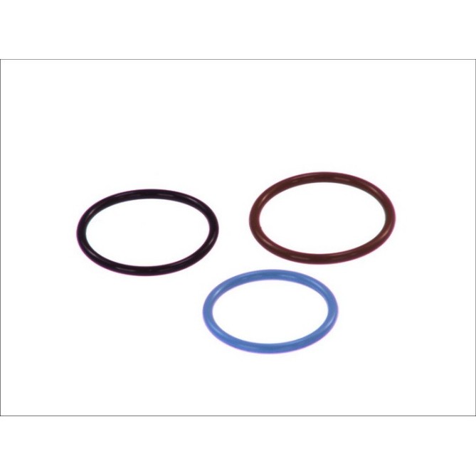 Chit reparatie, unitate pompa-diuza BOSCH