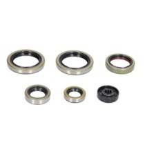 Set garnituri pentru motor WINDEROSA