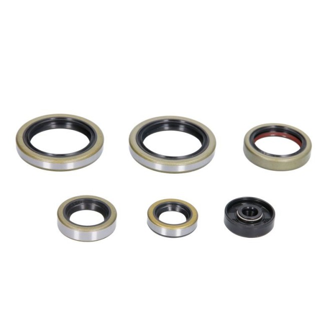 Set garnituri pentru motor WINDEROSA