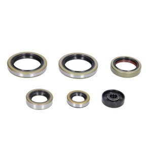 Set garnituri pentru motor WINDEROSA