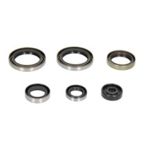 Set garnituri pentru motor WINDEROSA