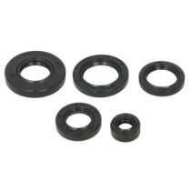 Set garnituri pentru motor WINDEROSA