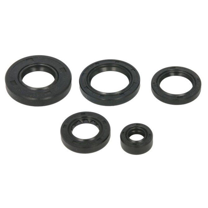 Set garnituri pentru motor WINDEROSA