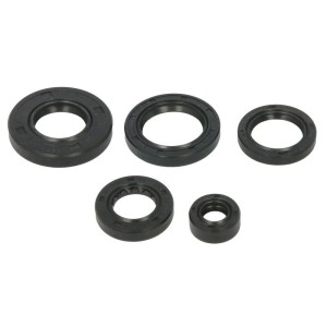 Set garnituri pentru motor WINDEROSA