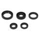 Set garnituri motor WINDEROSA pentru HONDA TRX 300 1988-2000