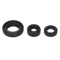 Set garnituri pentru motor WINDEROSA