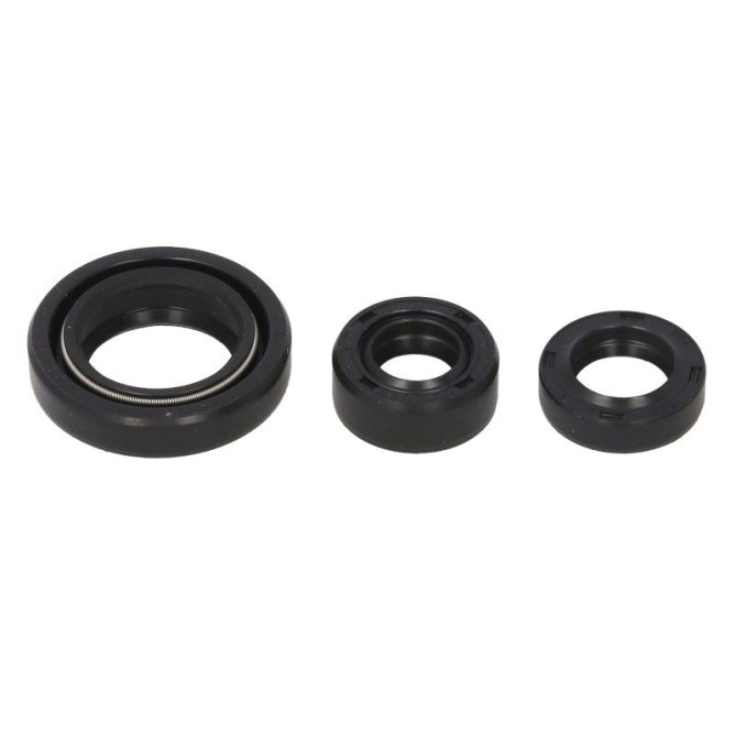 Set garnituri pentru motor WINDEROSA