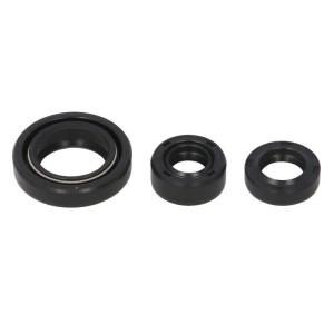 Set garnituri pentru motor WINDEROSA