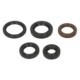 Set garnituri motor WINDEROSA pentru POLARIS PHOENIX, RZR, SAWTOOTH 170/200 2005-2021