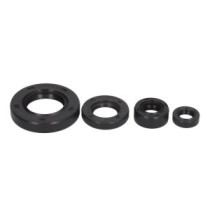 Set garnituri pentru motor WINDEROSA