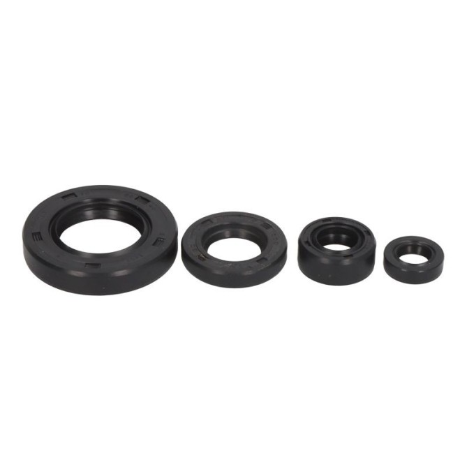 Set garnituri pentru motor WINDEROSA