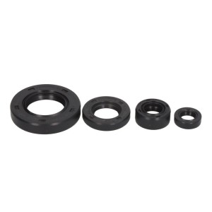 Set garnituri pentru motor WINDEROSA