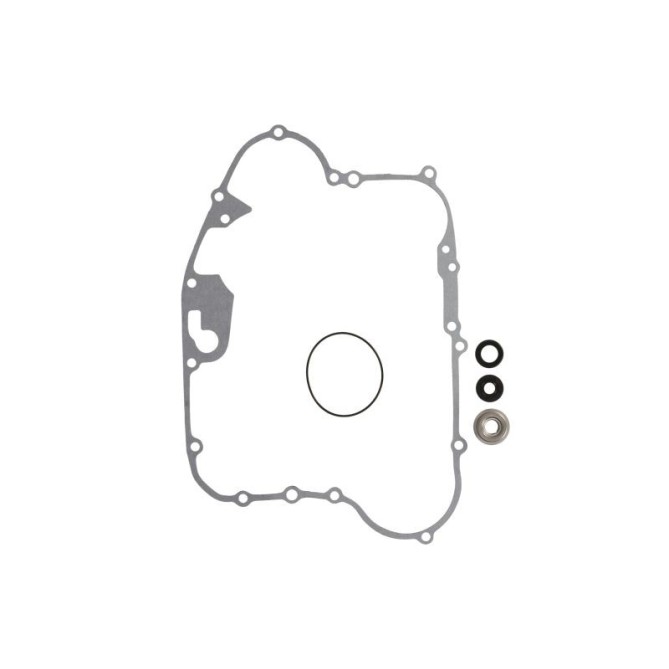 Set reparatie, pompa apa WINDEROSA